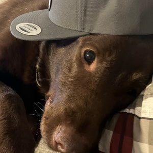 Meet your Posher, Brian